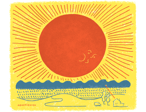 Sunny moments